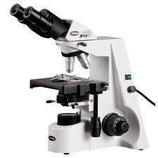 Binocular Compound Microscope