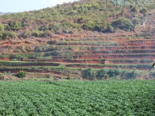 Our Farm