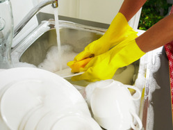 Dish Cleaner