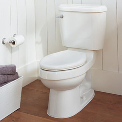 Toilet Cleaner