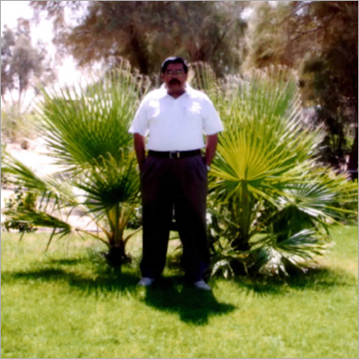 Commercial Garden Landscaping Services