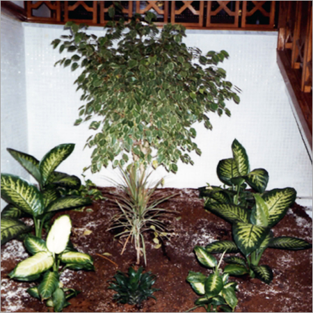 Indian Landscape Design Services