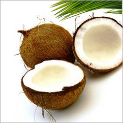 Coconut Shell Chips