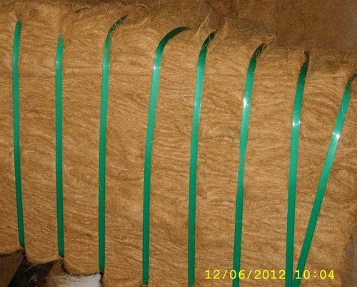 Coir Fibre