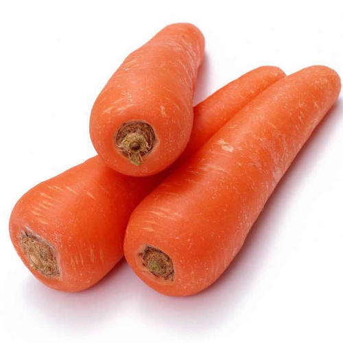 Fresh Carrot