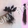Virgin Temple Human Hair