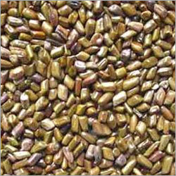 Semen Cassia Tora