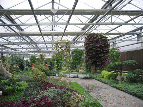 Garden Shed