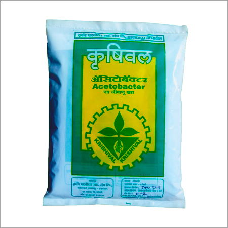 एसीटोबैक्टर