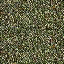 Sesbania Seed
