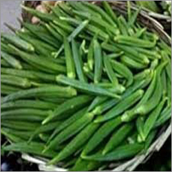 Okra Hybrid Seeds