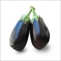 Brinjal Hybrid Seeds