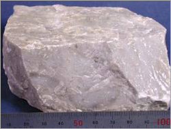 Top Grade Sponge Iron Powder