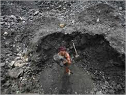 Calcined Petroleum Coke