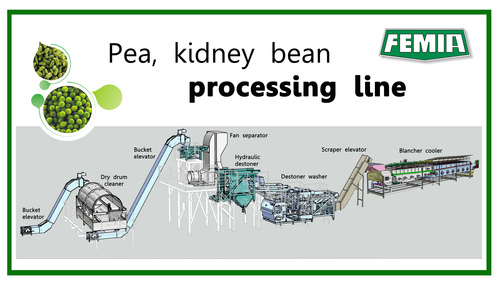 Peas Processing Plant