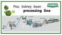 Peas Processing Plant