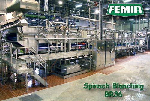 Spinach And Other Leafy Vegetable Processing Plant.