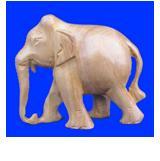 ELEPHANT PLAIN SPL