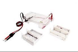 HORIZONTAL ELECTROPHORESIS