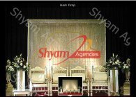 humsafar wedding stages