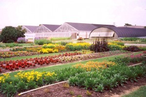 Horticulture Services