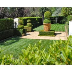 Horticulture Services