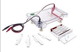 NAC-SPDT Horizontal Electrophoresis