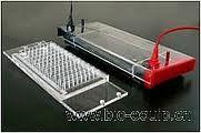 NAC-SP3 Horizontal Electrophoresis