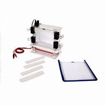 RAPID SSR ELECTROPHORESIS SYSTEM