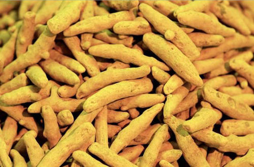 Indian Turmeric Roots