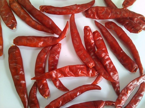Chilly Whole