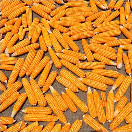 Agro Products & Commodities