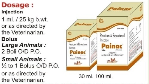 Painac Bolus