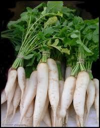 Radish