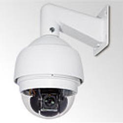 IP Cameras