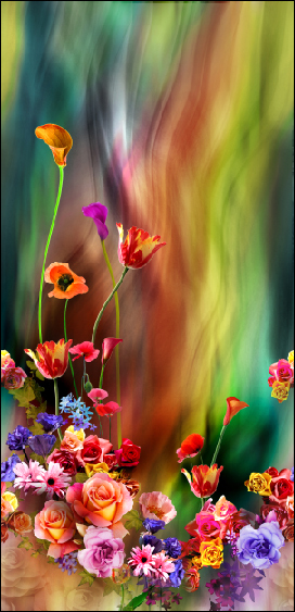 Digital Printed Borders