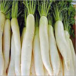 White Radish
