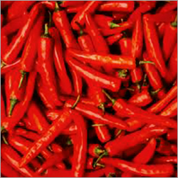 Dry Red Chillies