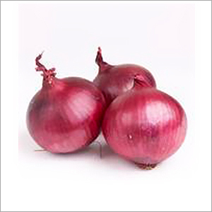 Nasik Red Onion
