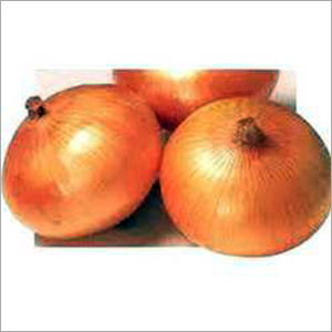 Yellow Onion