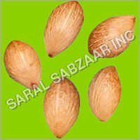 Palm Seeds