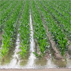 Irrigation Agriculture Development