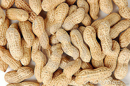 Shell Peanuts