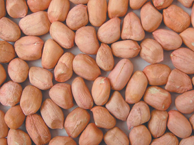 Peanuts