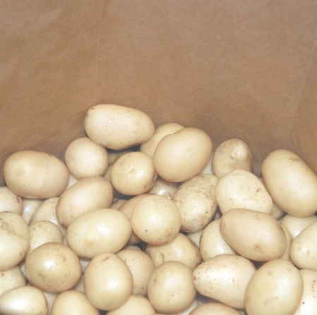 Lady Rosetta Potato