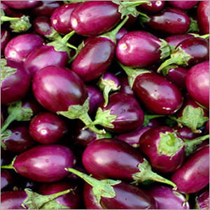 Green Brinjal