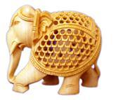 ELEPHANT UNDERCUT FINE CTR