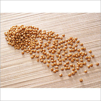 Butter Scotch Nuts Crackles