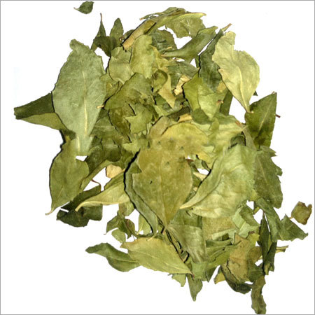 Dehydrated Curry Leaves