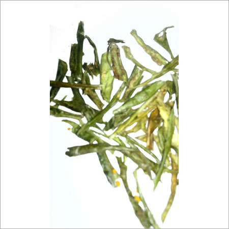 Dehydrated Green Chili Flakes
